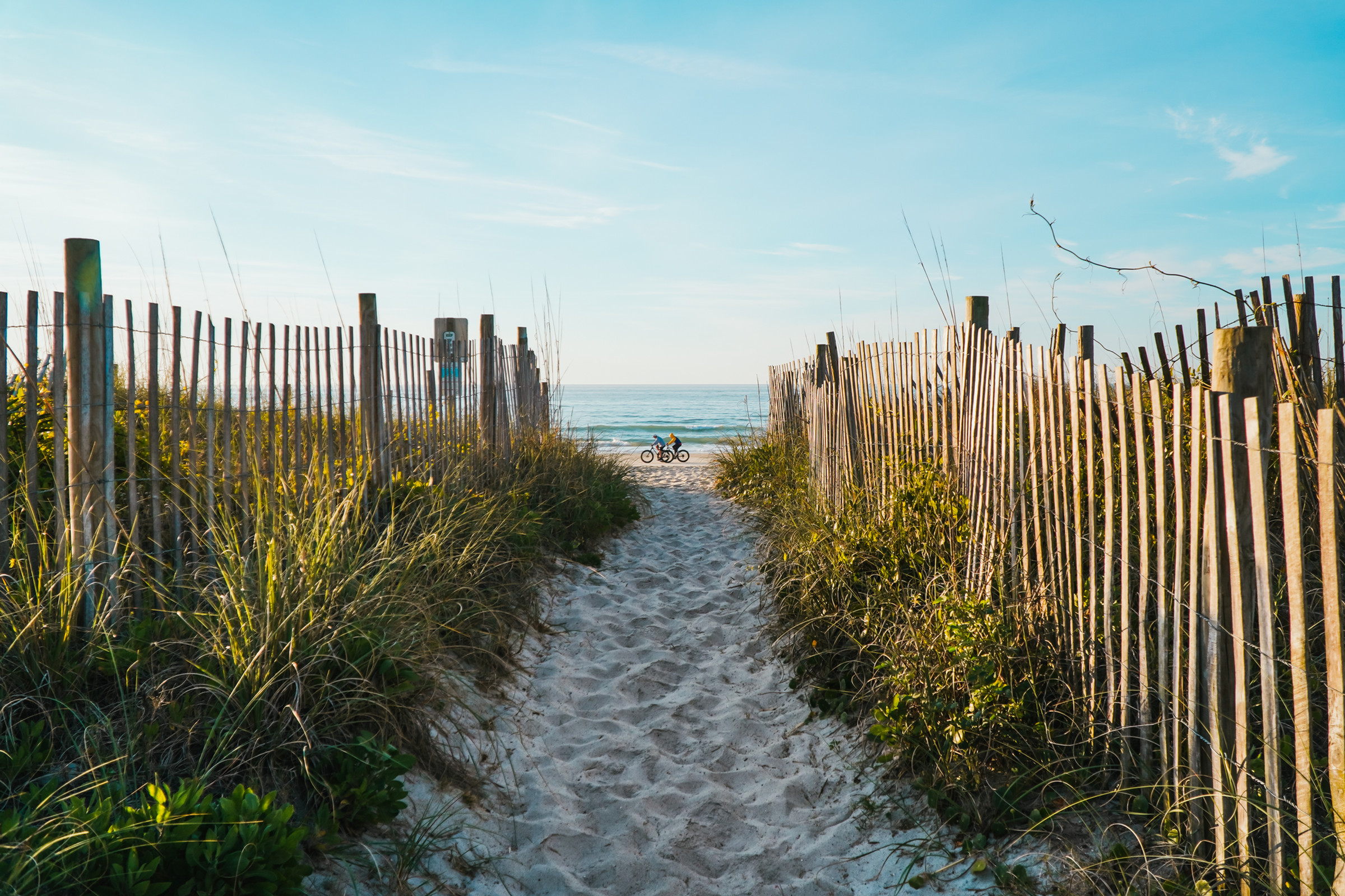 Beach fence