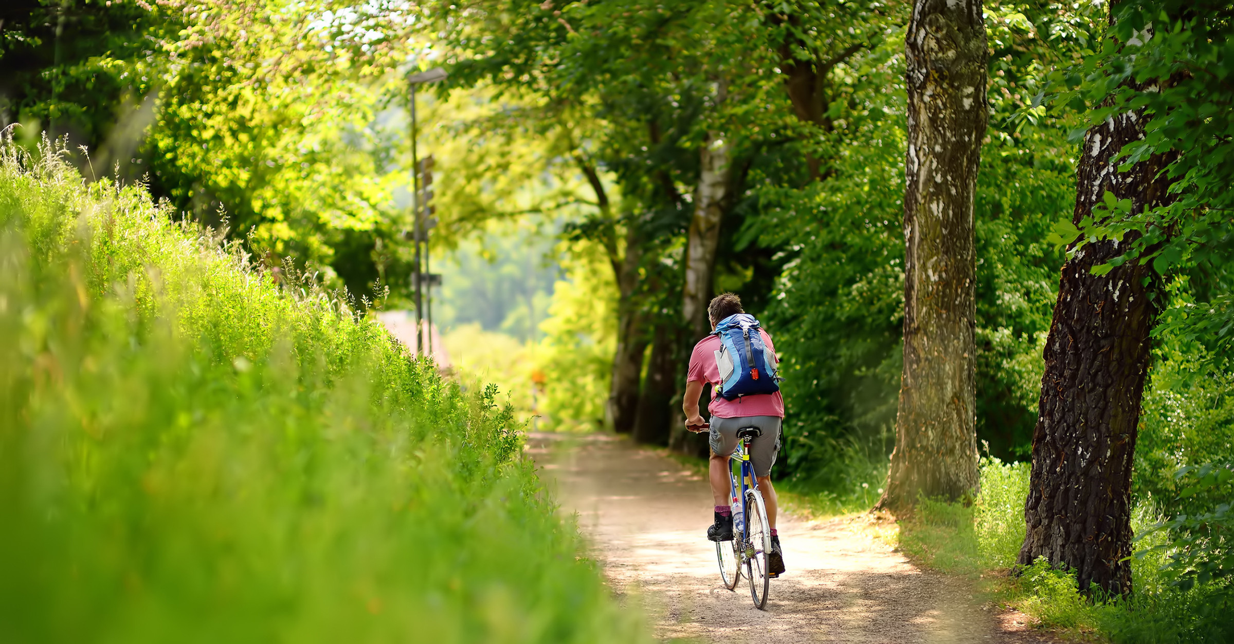 Bike trail